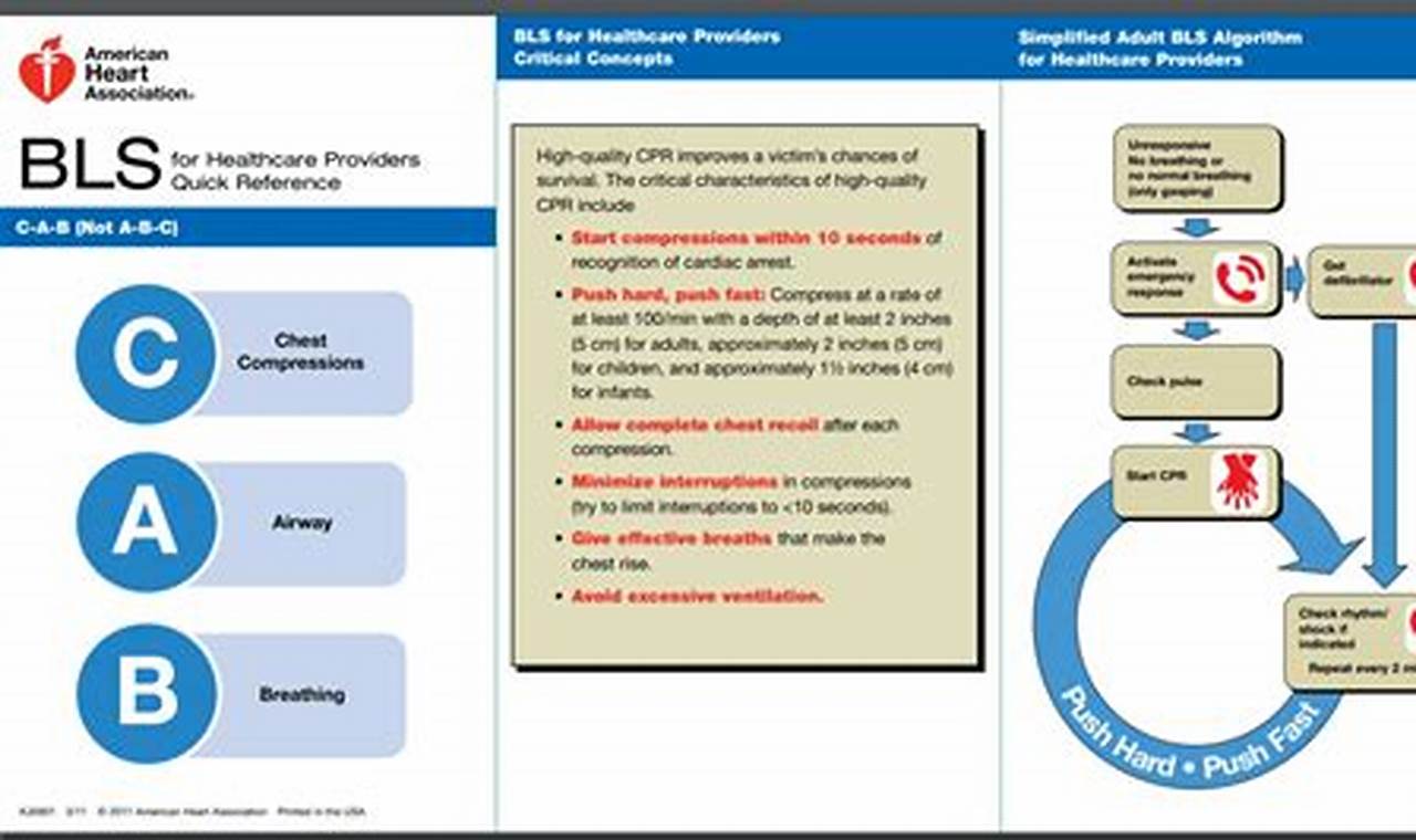 2024 Aha Cpr Guidelines