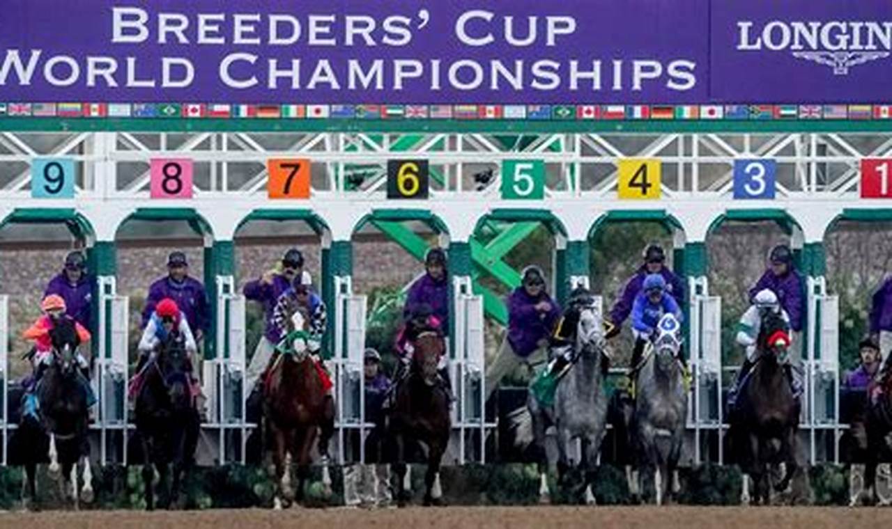 2024 Breeders Cup Post Times