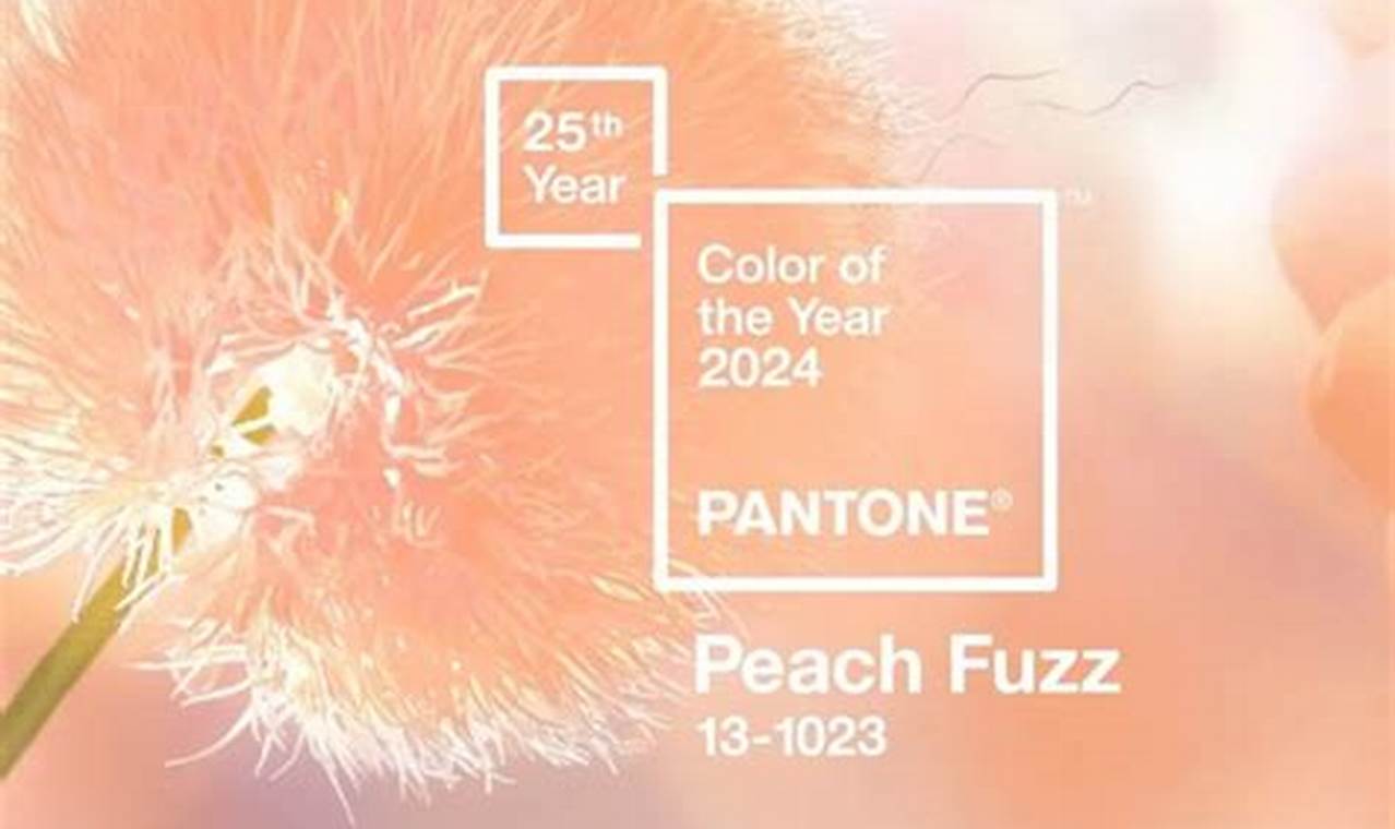 2024 Colour Of The Year Pantone