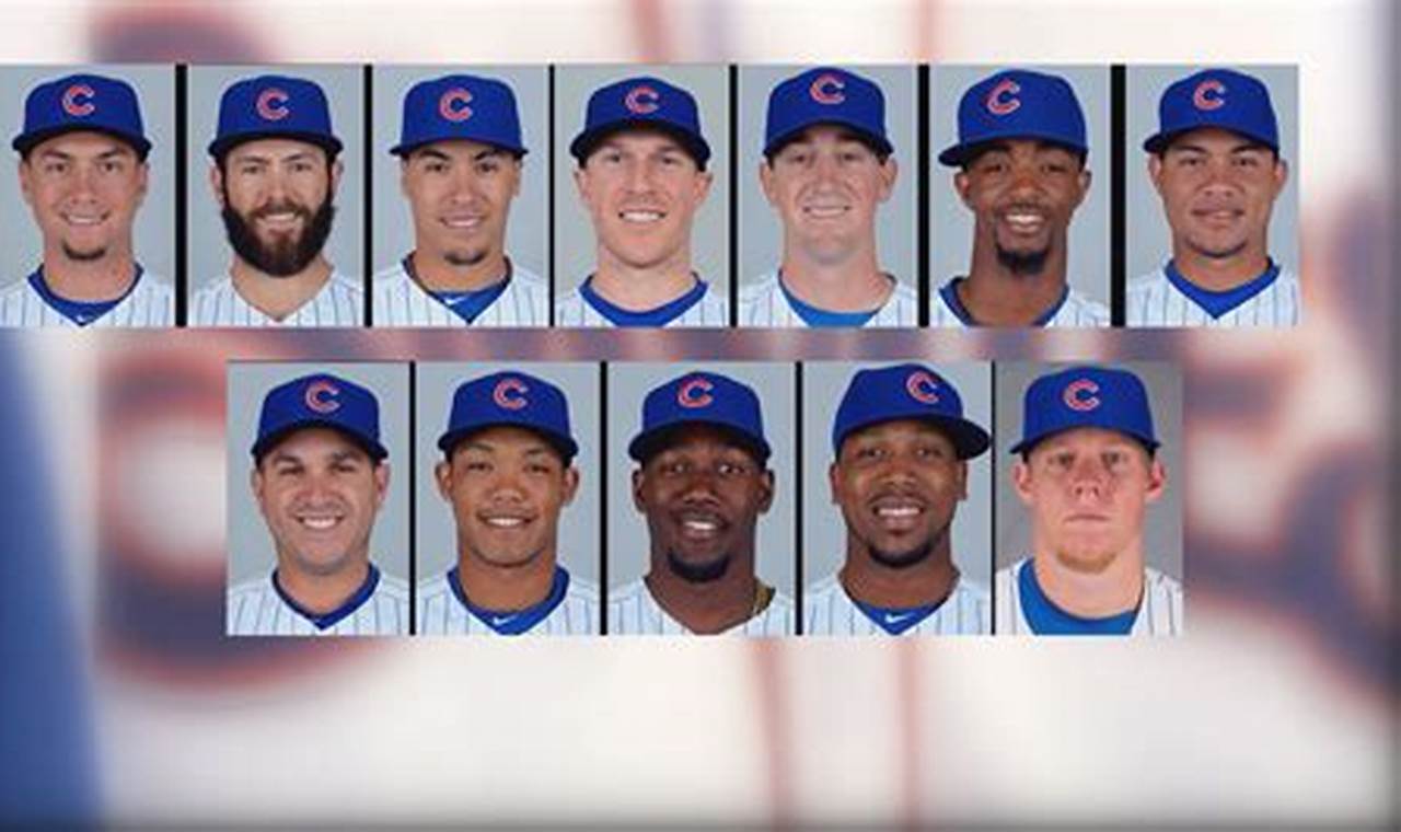 2024 Cubs Roster