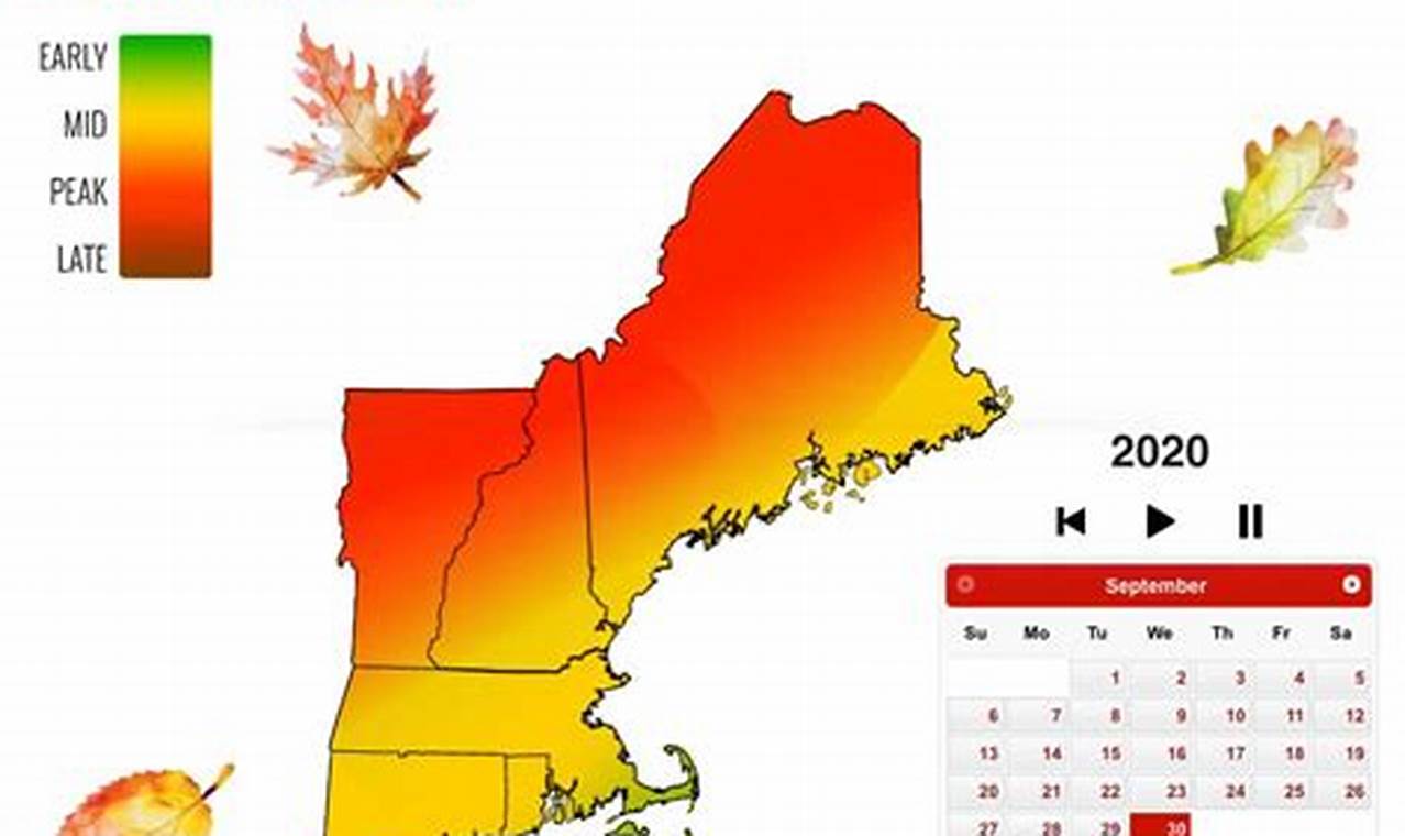 2024 Fall Foliage Map New England