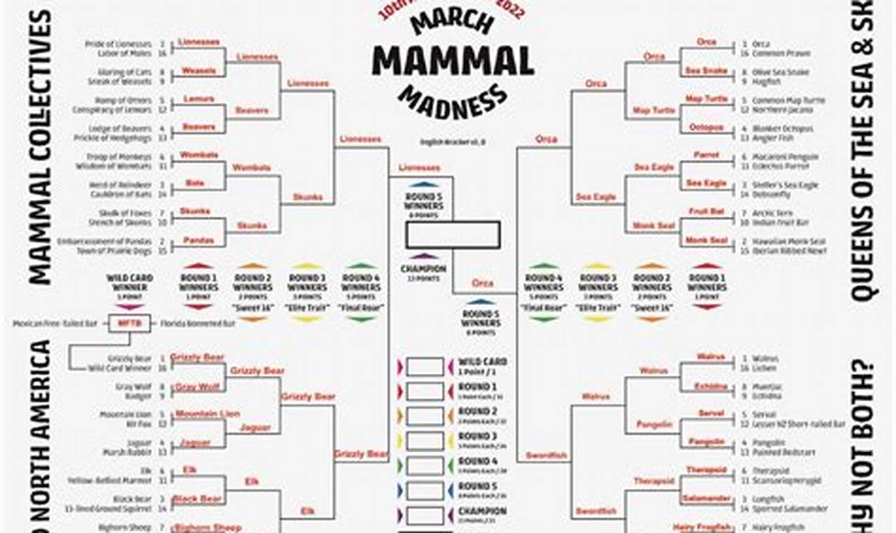 2024 March Mammal Madness Bracket