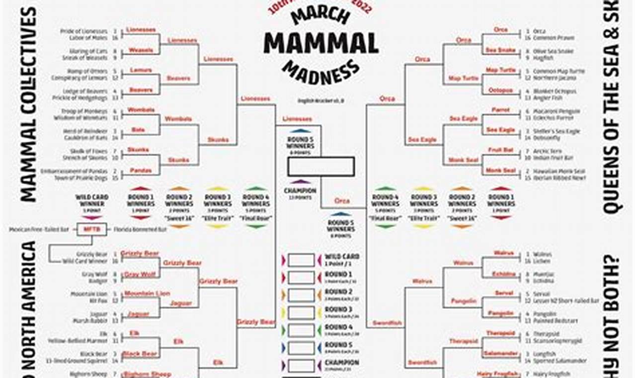 2024 March Mammal Madness Brackets