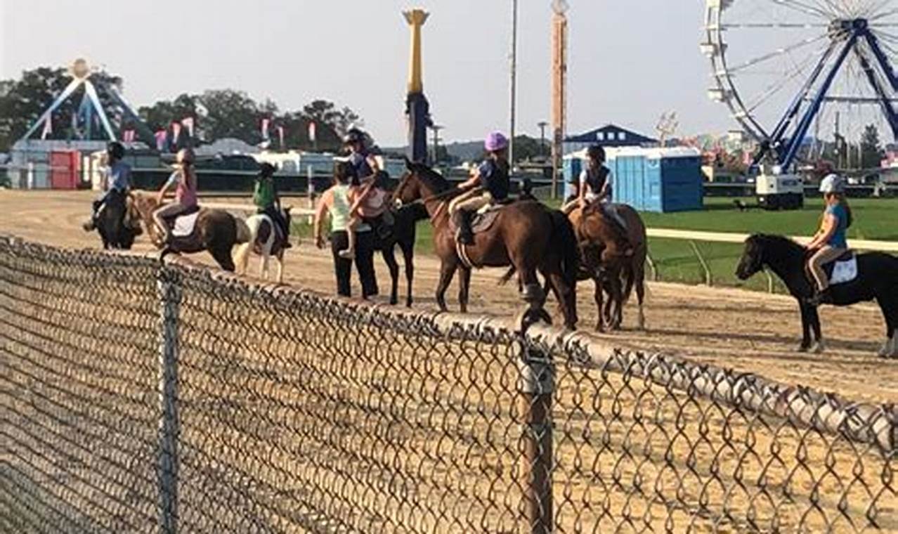2024 Ohio State Fair Horse Show Schedule