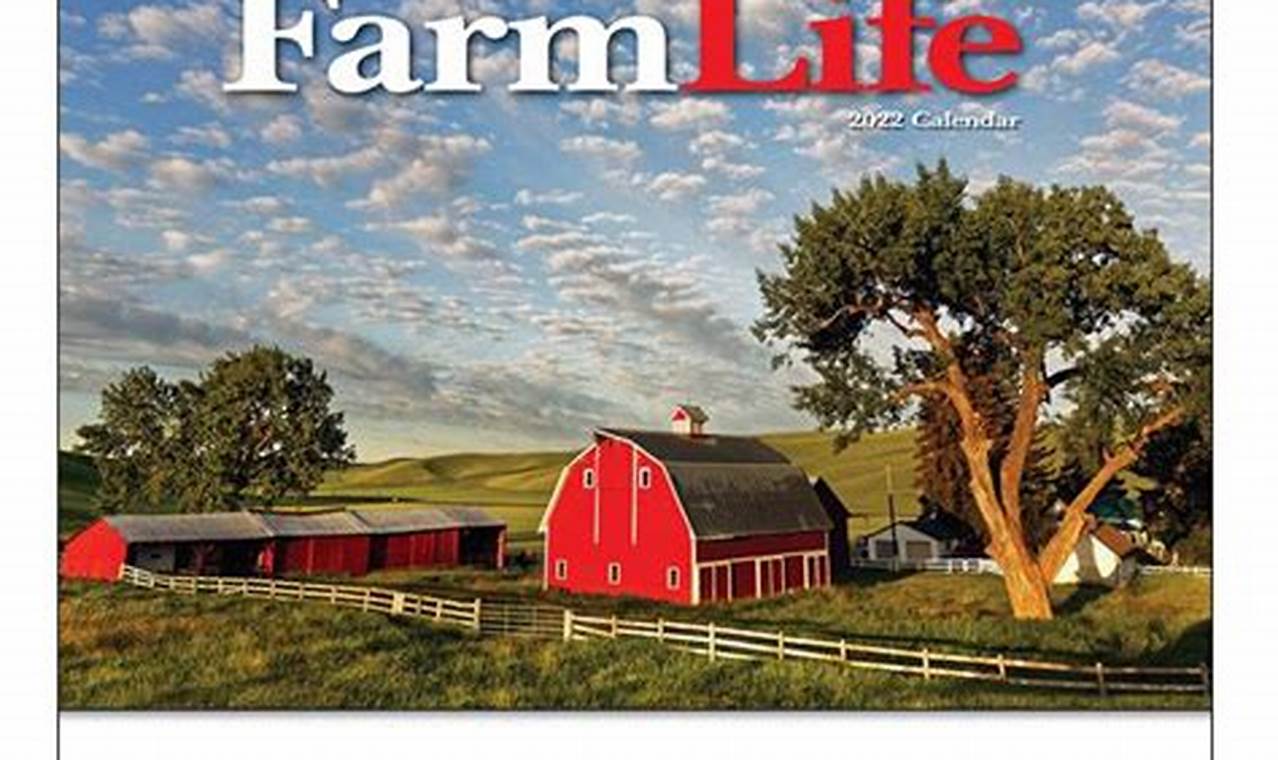 2024 State Farm Calendar