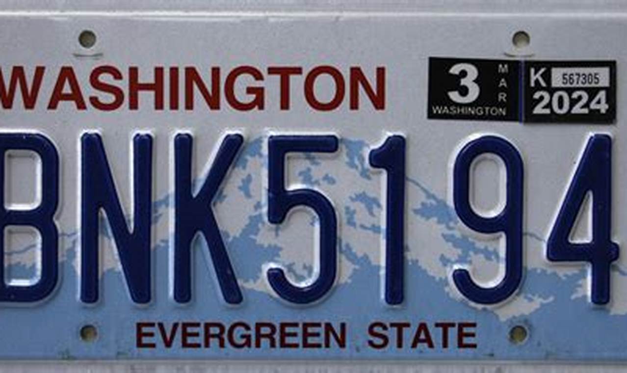 2024 State License Plates