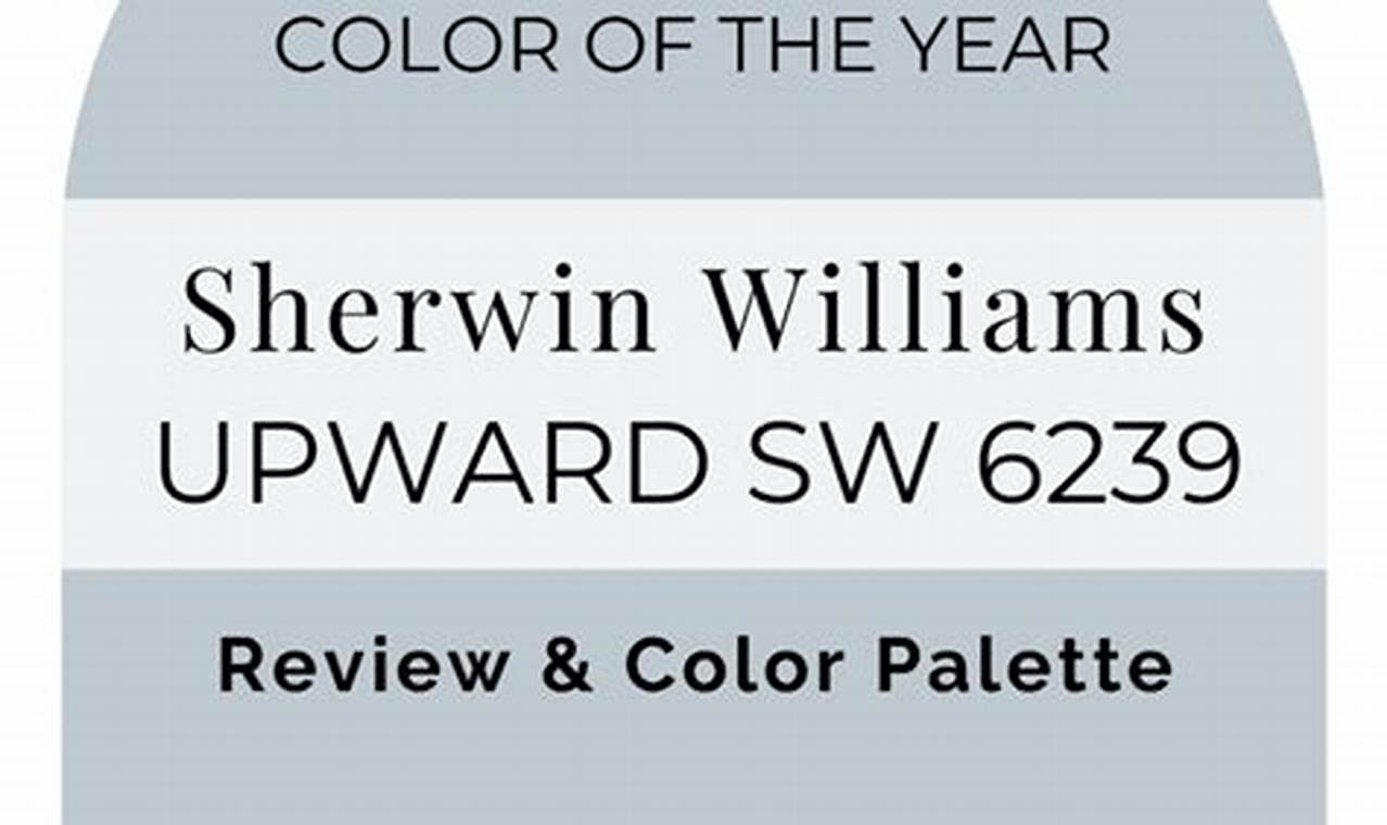 2024 Sw Color Of The Year