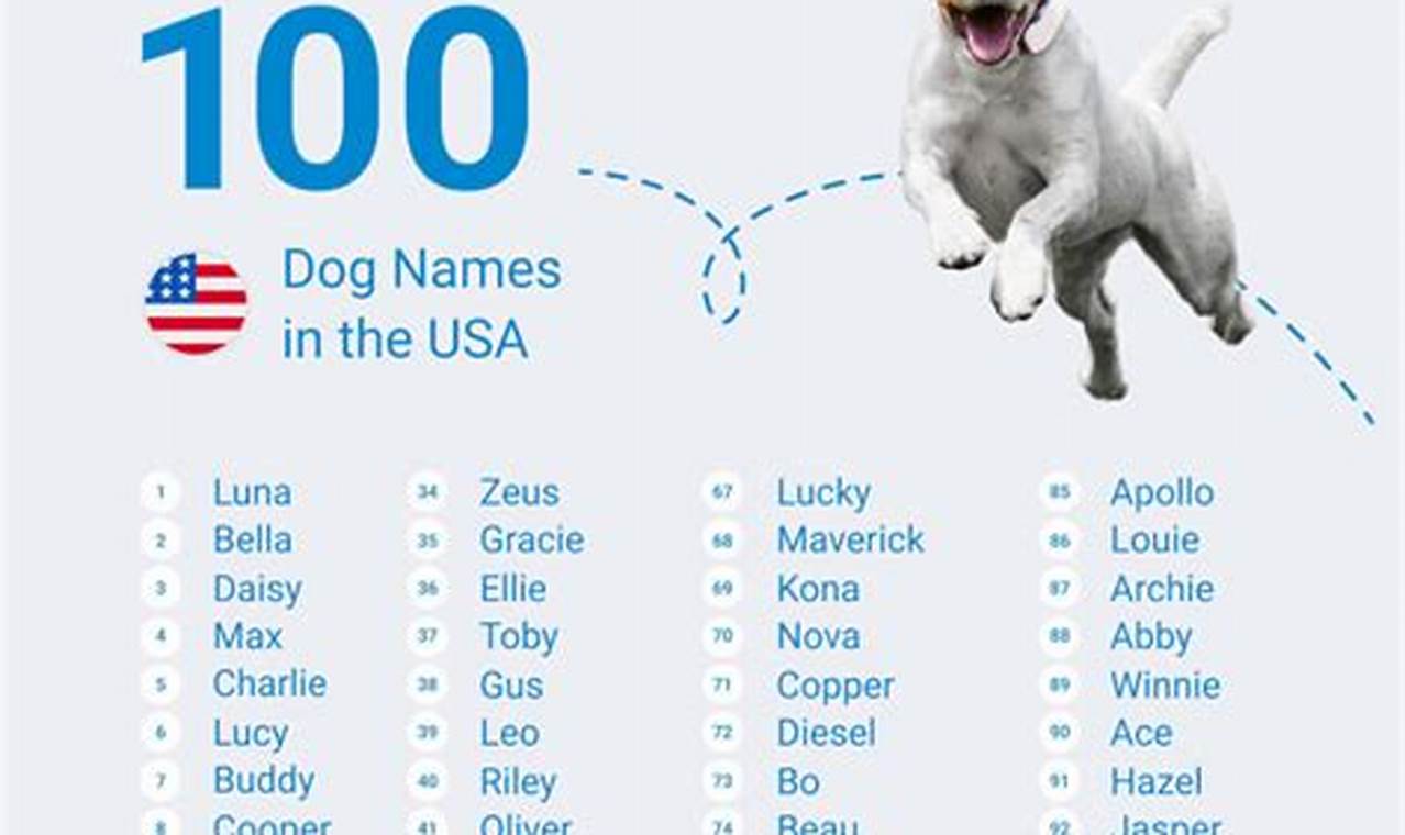 2024 Top Dog Names