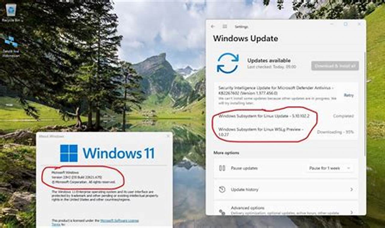 2024-07 Cumulative Update Preview For Windows 11