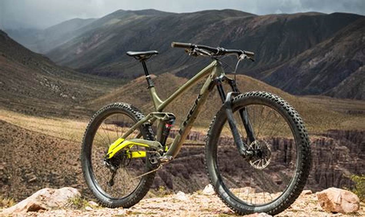 How to Conquer Tough Terrain on Two Wheels: The Ultimate Guide to 29er Bicycles
