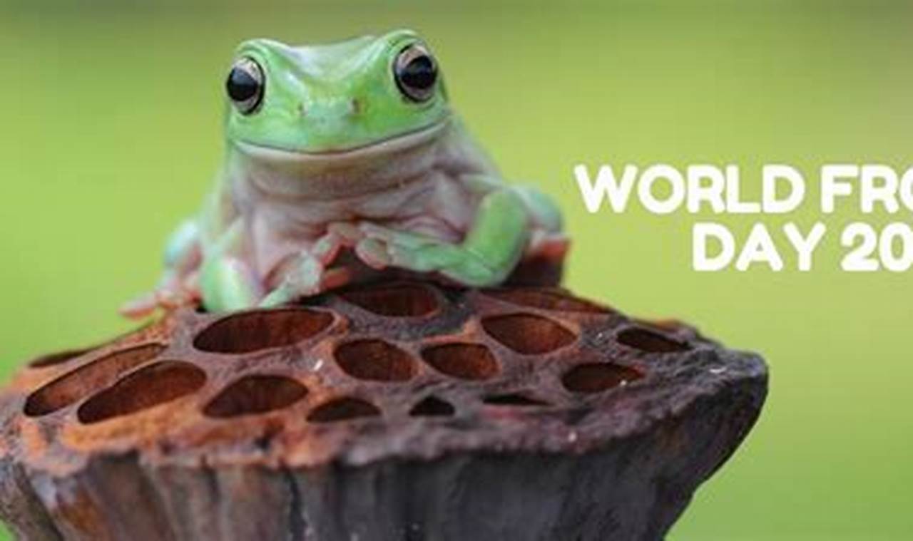 3/20/2024 - World Frog Day