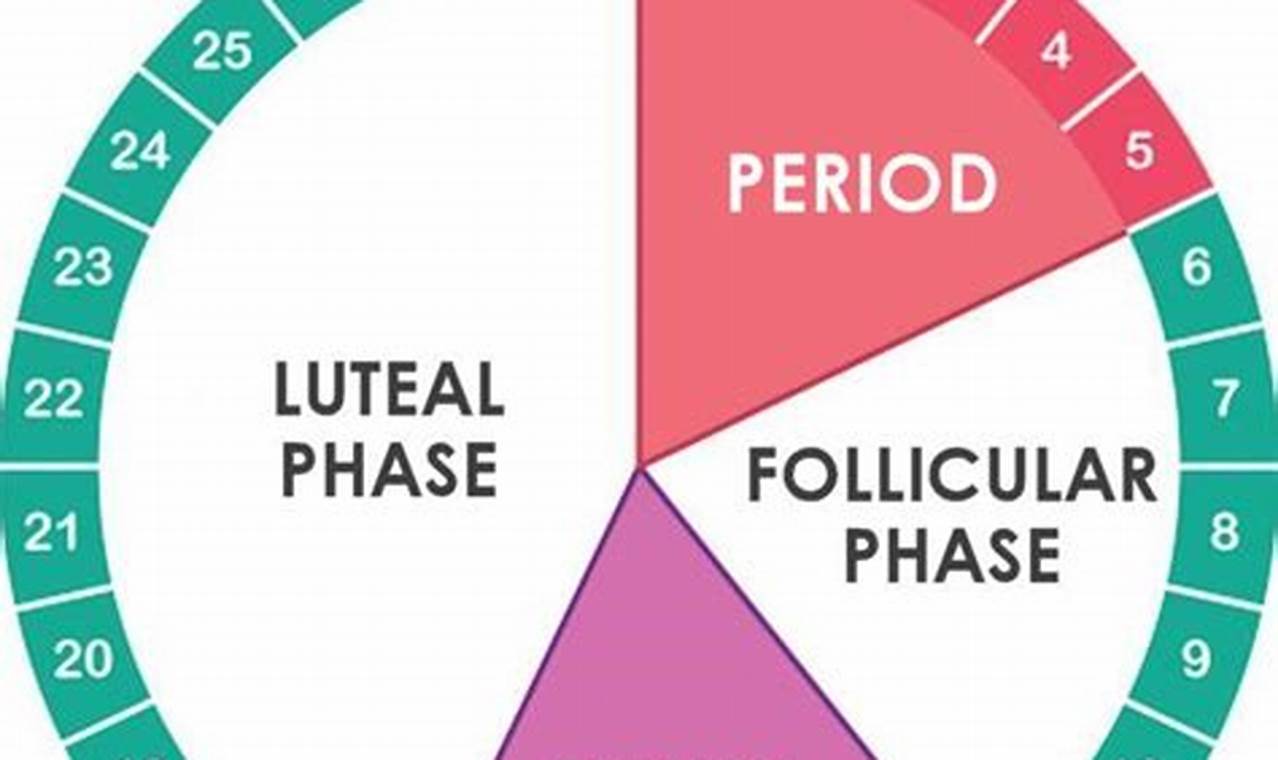 40 Day Cycle Ovulation Calendar