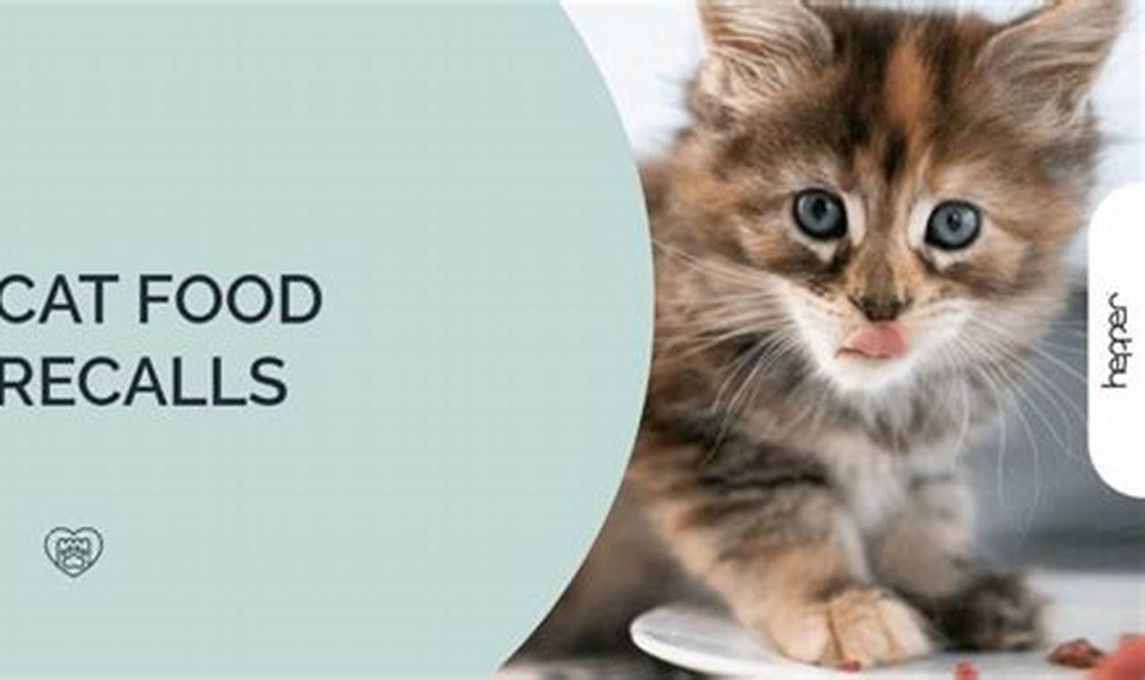 9 Lives Cat Food Recall 2024