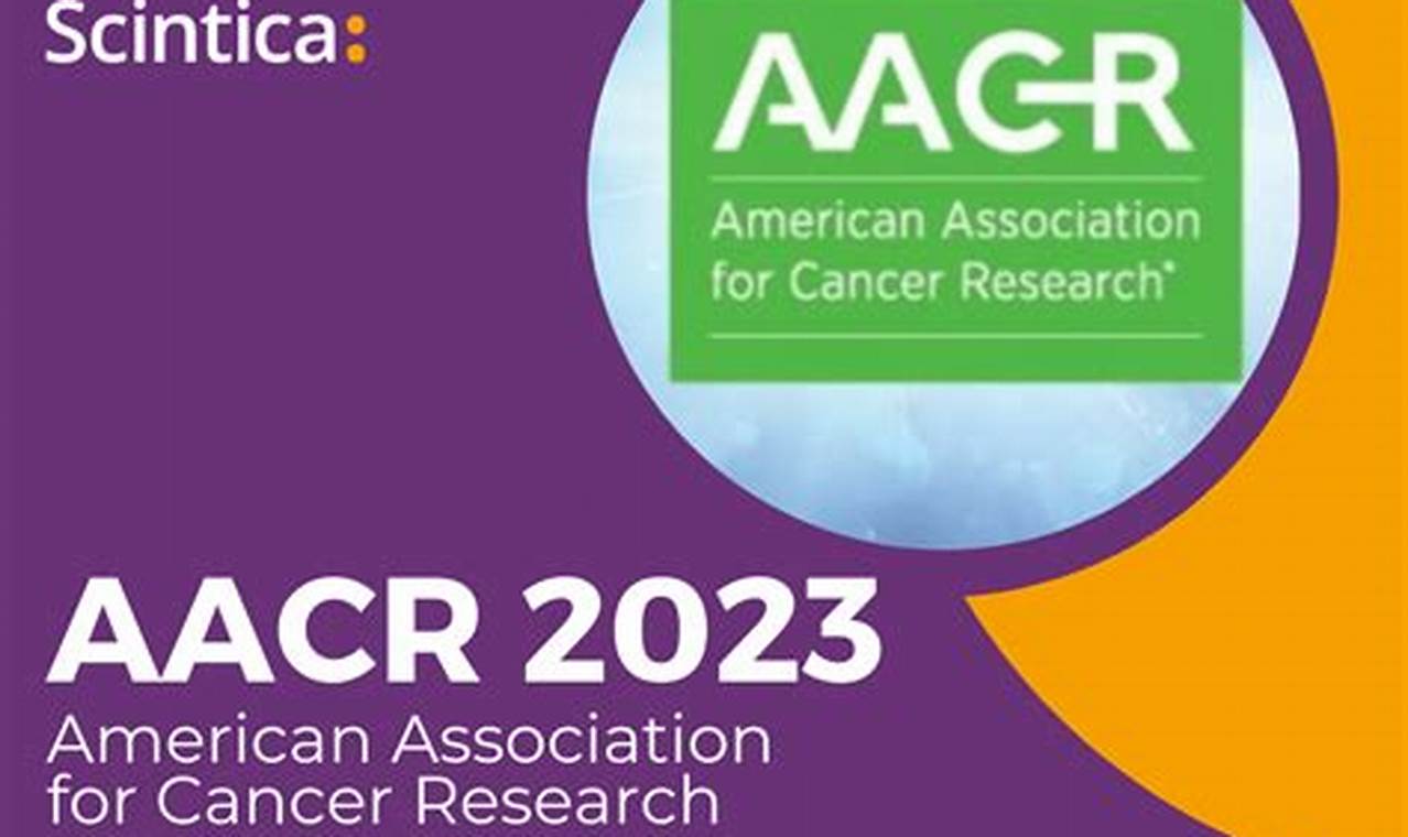 Aacr 2024 Hotel Management