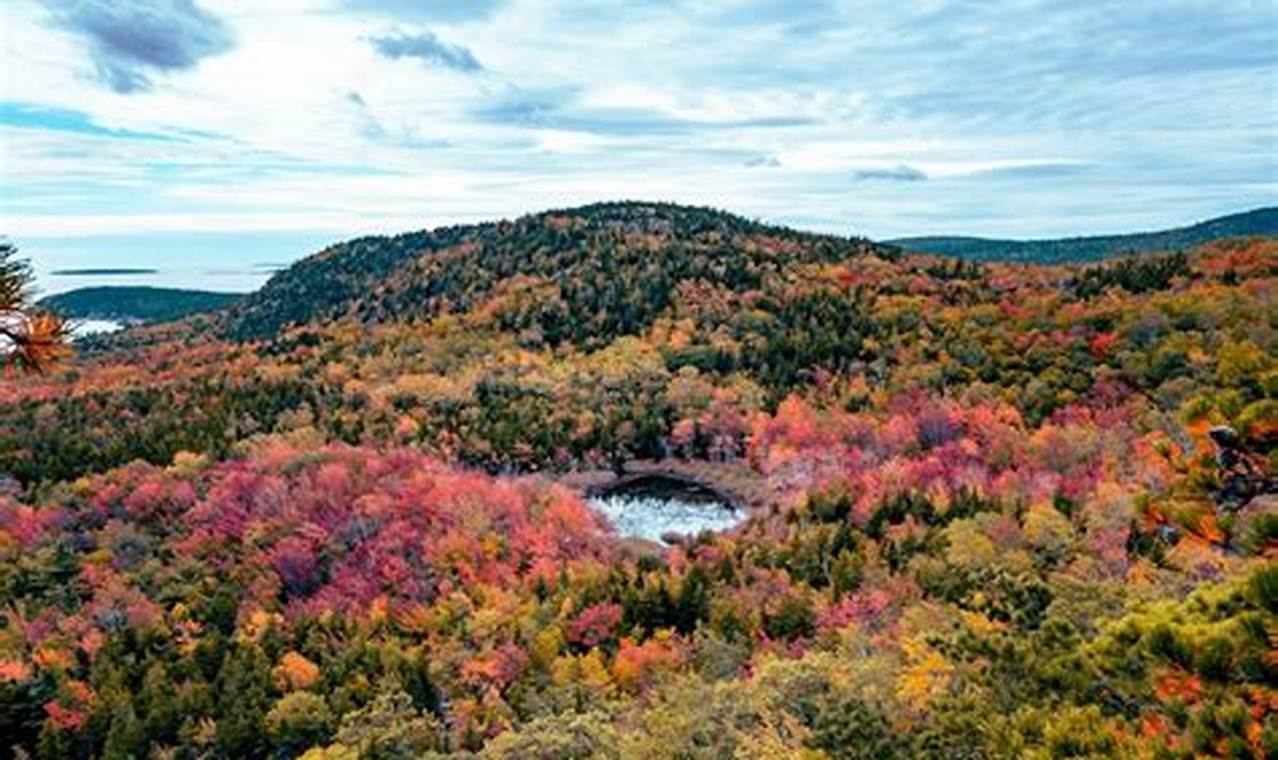 Acadia National Park Foliage 2024