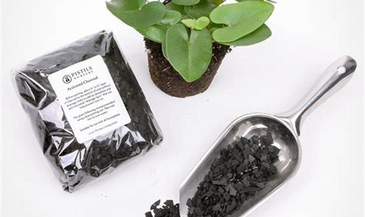 Activated Charcoal For Plants