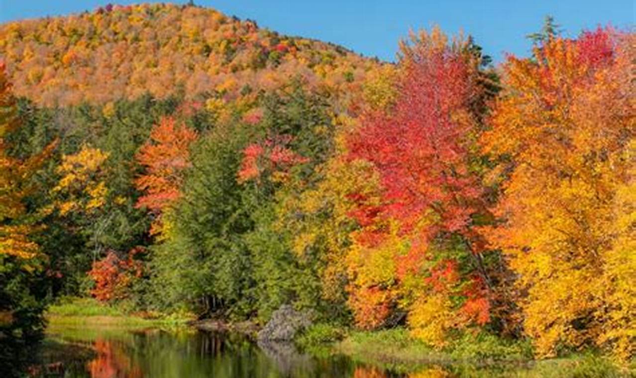 Adirondack Fall Foliage 2024