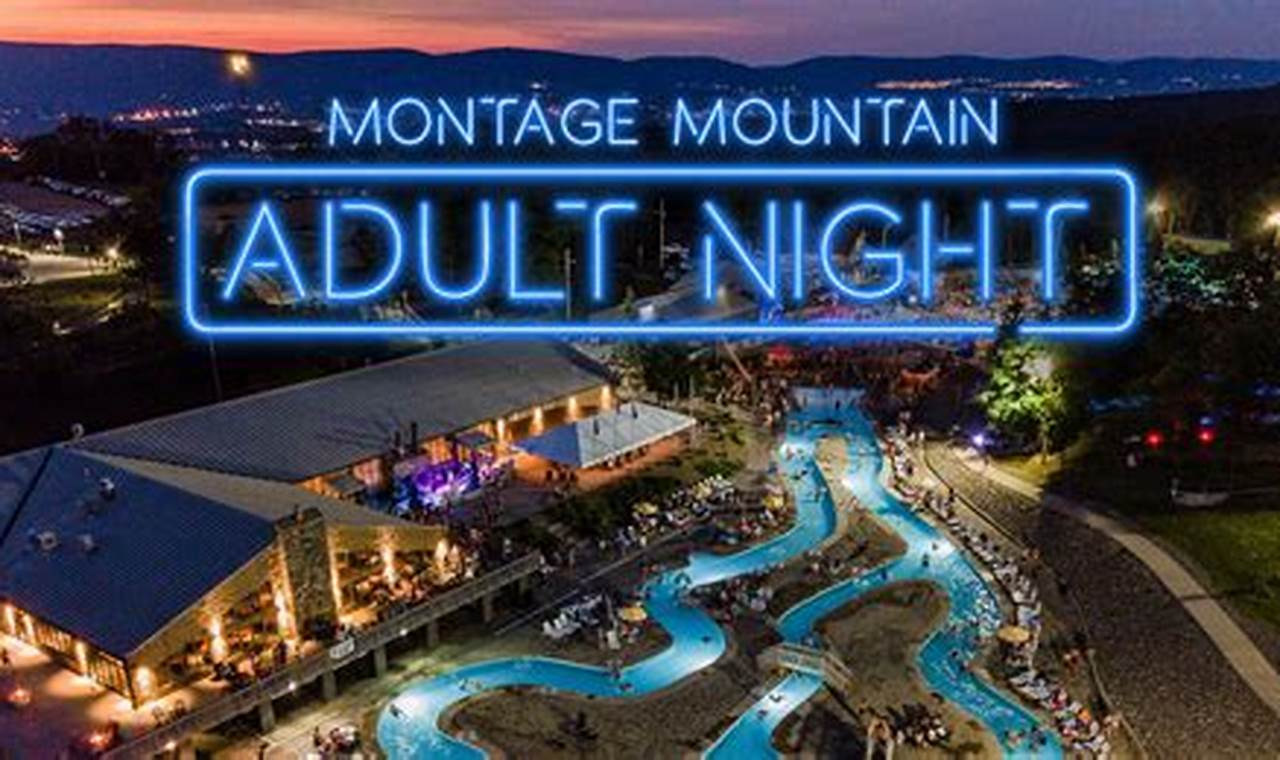 Adult Swim Montage Mountain 2024