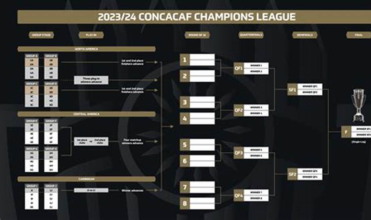 Afc Champions League 2024-24
