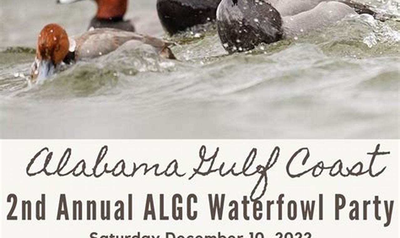 Alabama Duck Season 2024-2024