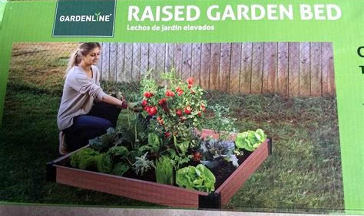 Aldi Raised Garden Bed 2024
