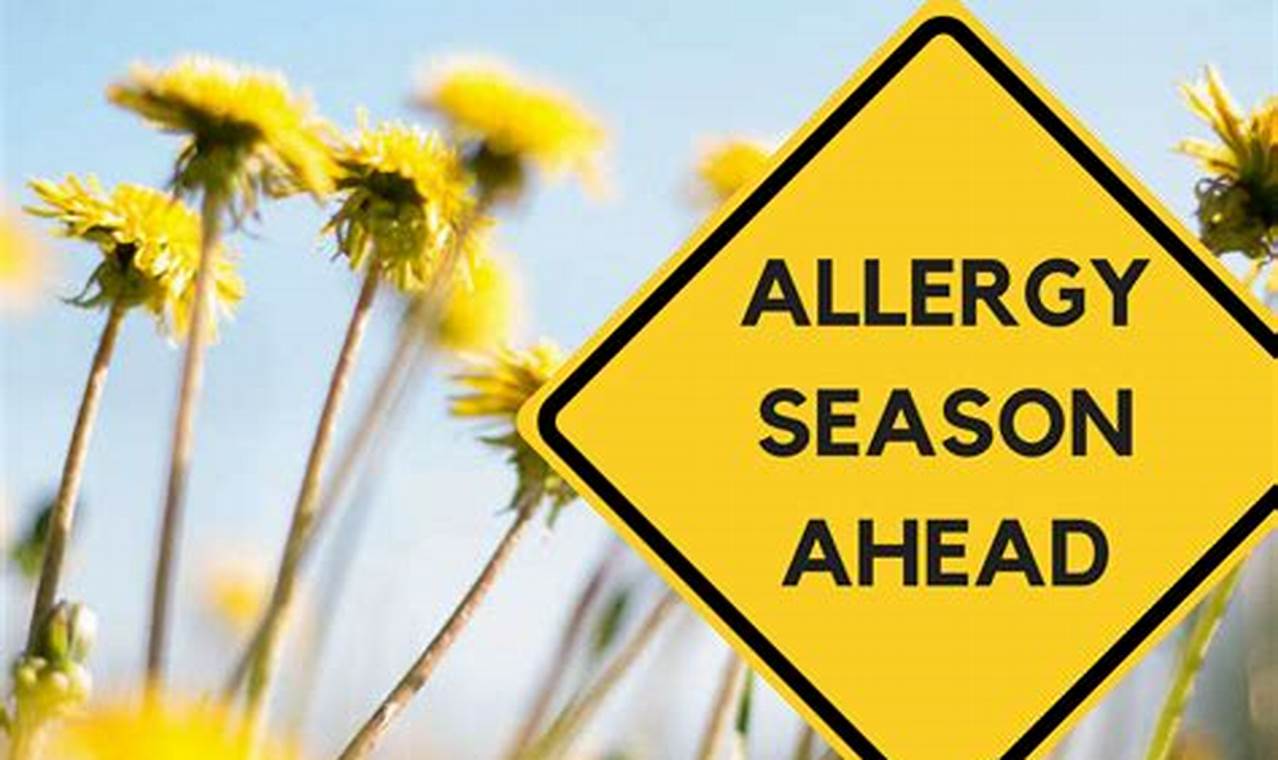 Allergy Season 2024 California