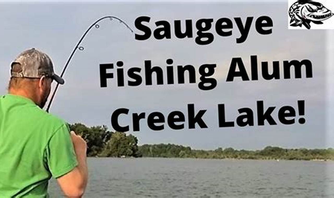 Alum Creek Fishing Report 2024