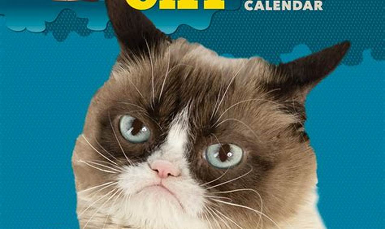 Amazon Grumpy Cat Calendar