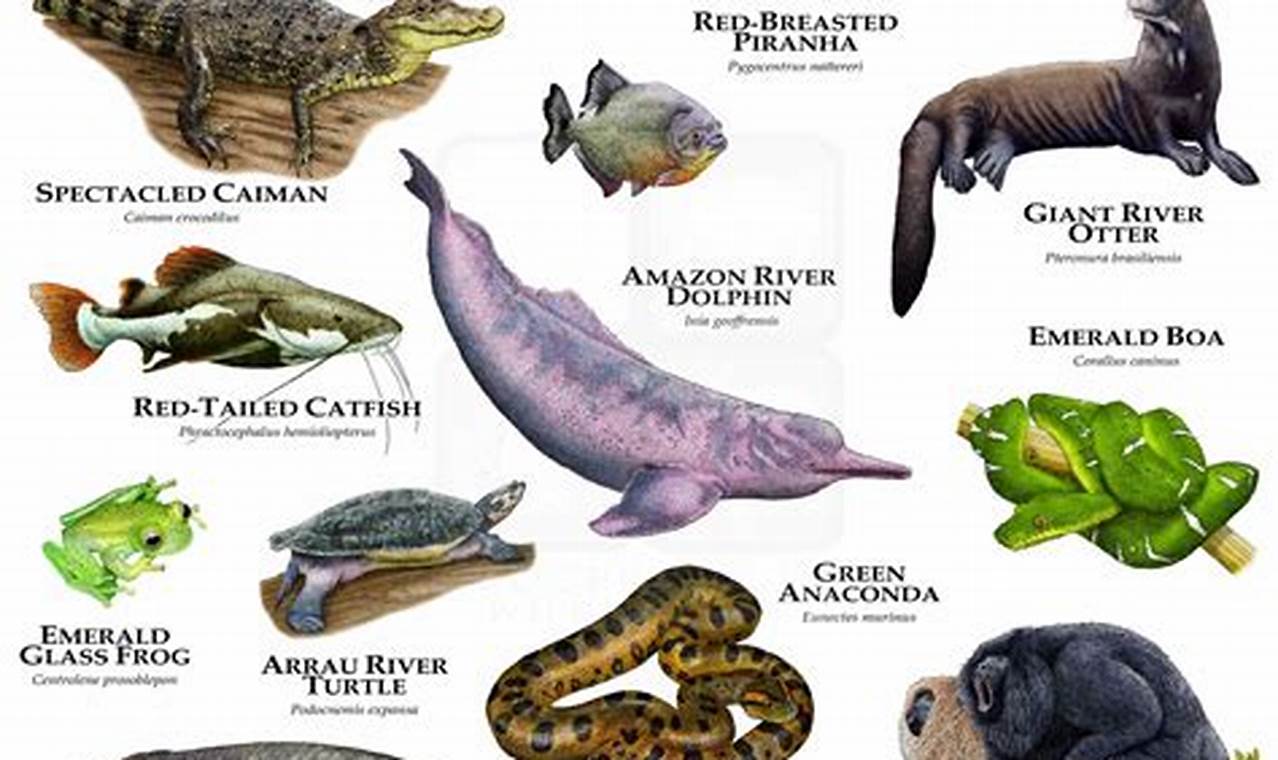 Amazon Rainforest Animals List Wikipedia