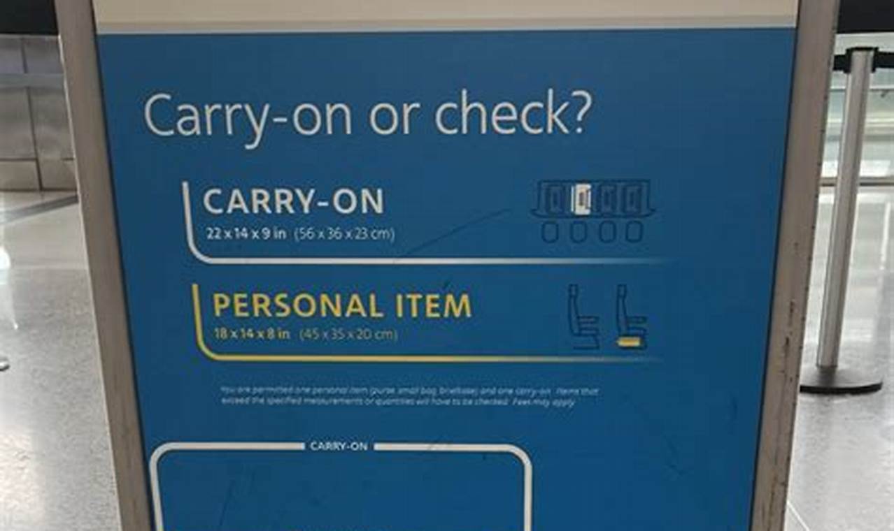 American Airline Carry On Size 2024