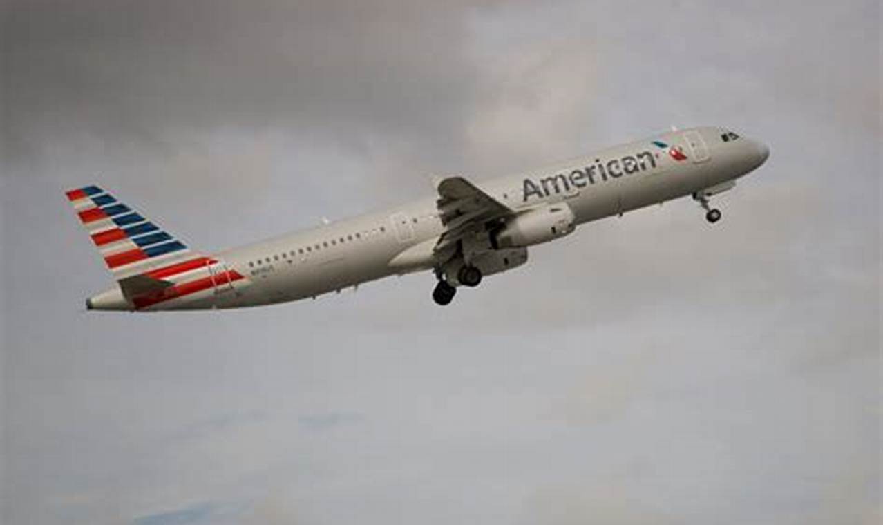 American Airlines Flight Passenger