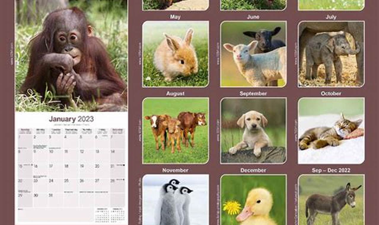 Animal Rescue Calendar 2024
