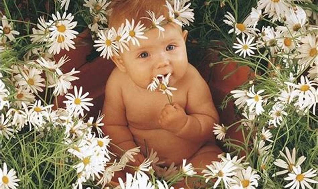 Anne Geddes 2024 Wall Calendar Week