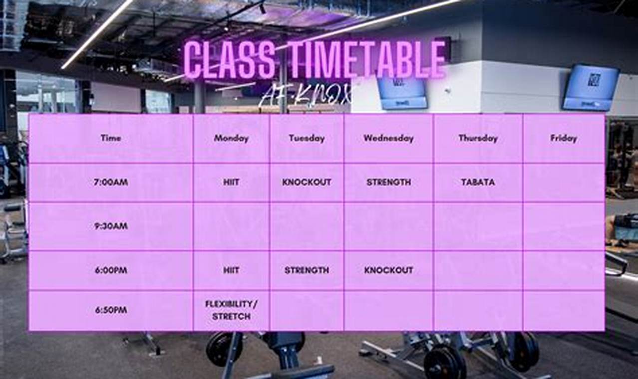 Anytime Fitness 6 Week Challenge 2024