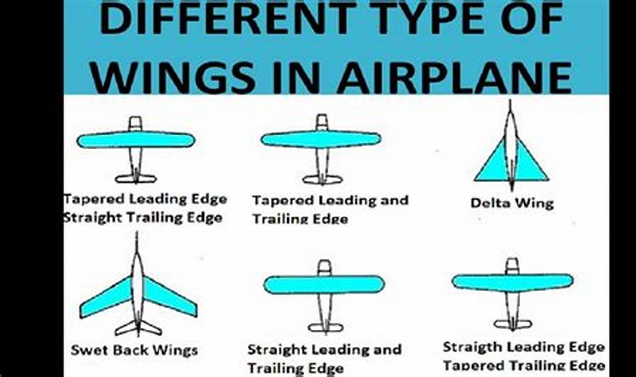 Apa gunanya Wings pada sebuah a fixed wing aircraft?