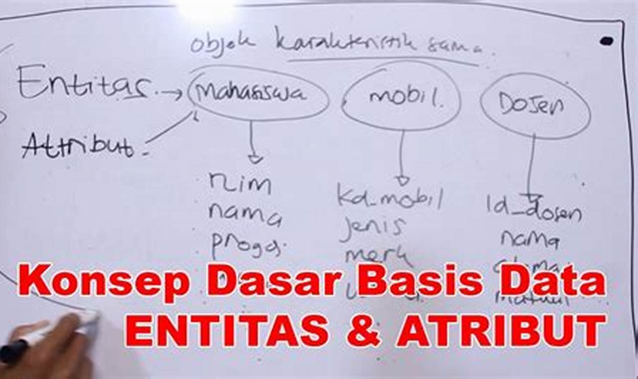 Apa itu data atribut dan contohnya?