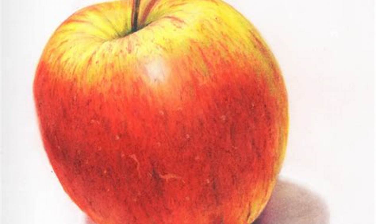 The Colorful World of Apple Drawing Color Pencils: A Detailed Guide