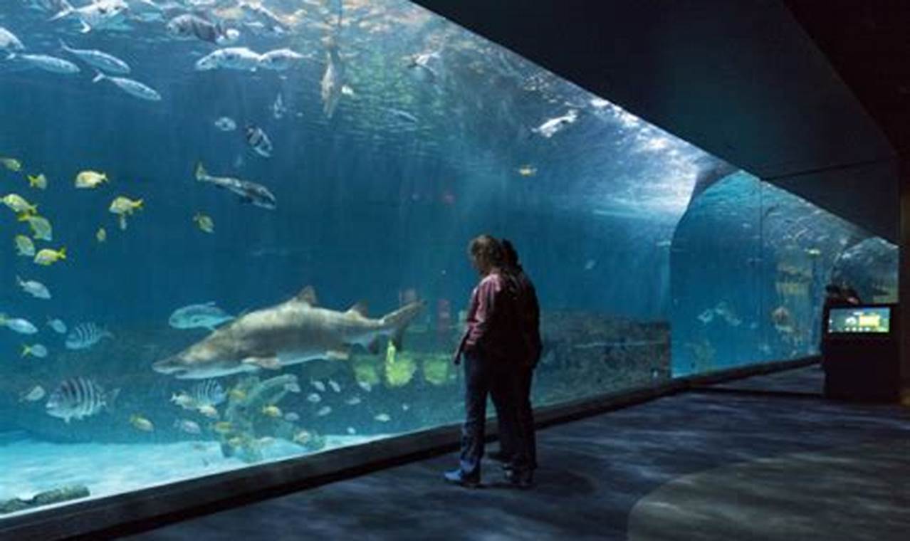 Aquarium Expo Near Me 2024