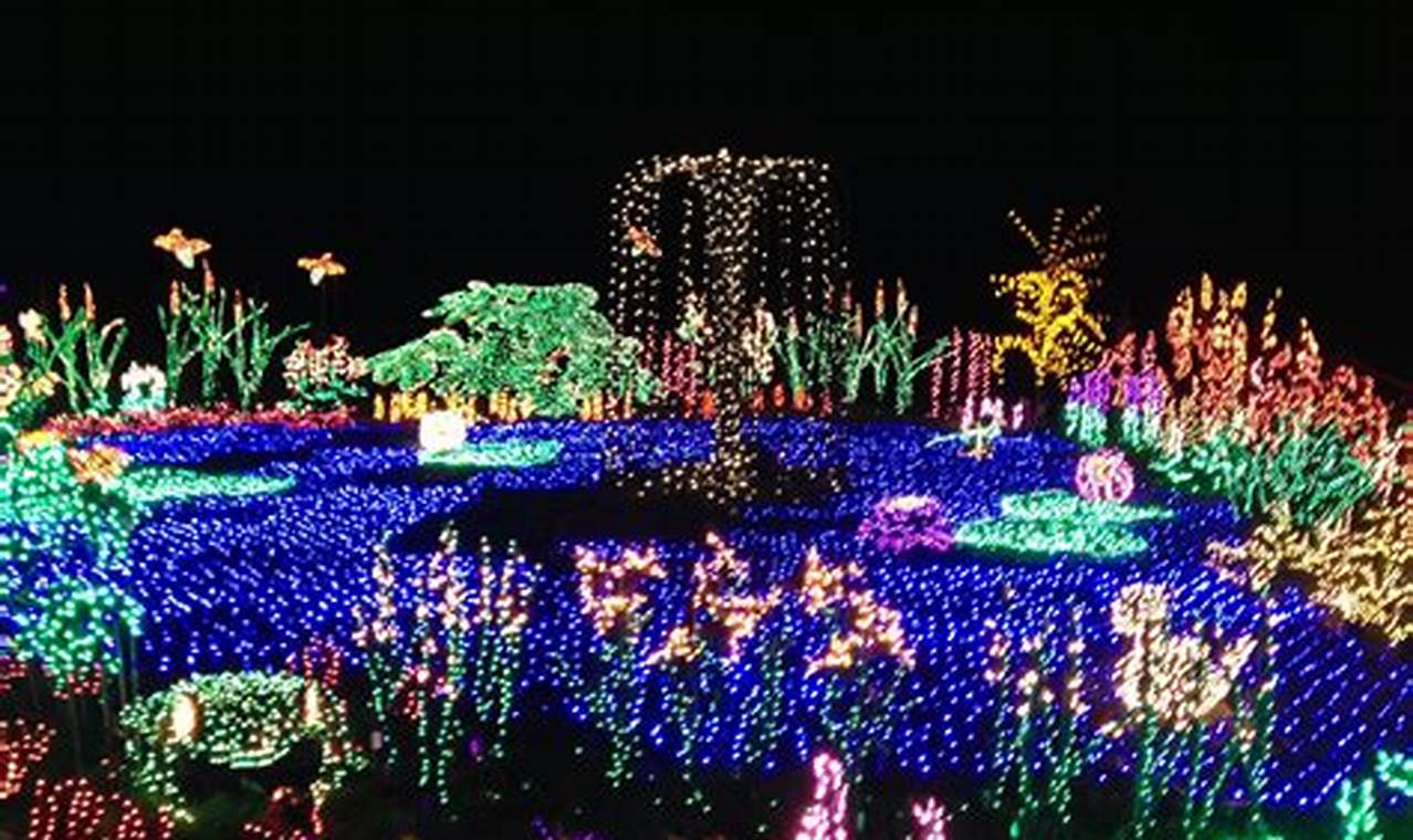Arboretum Christmas Lights 2024