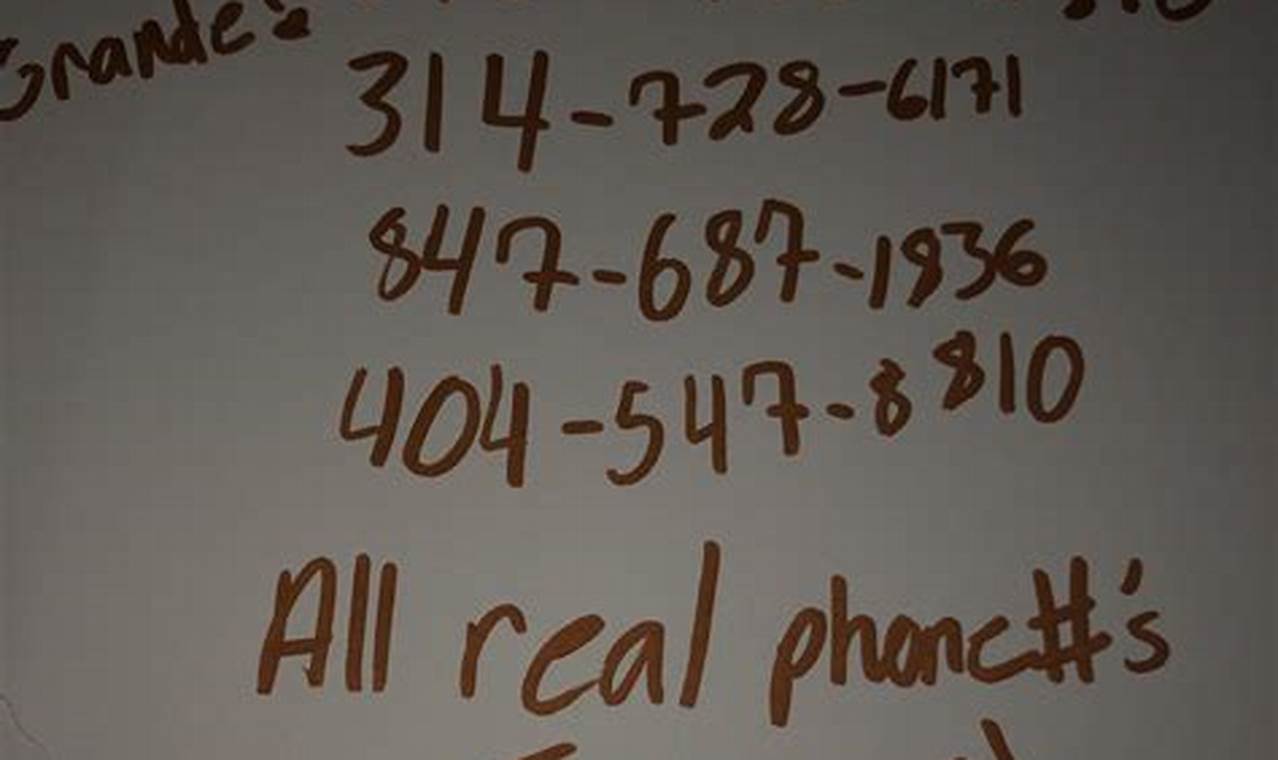 Ariana Grande Phone Number Real 2024