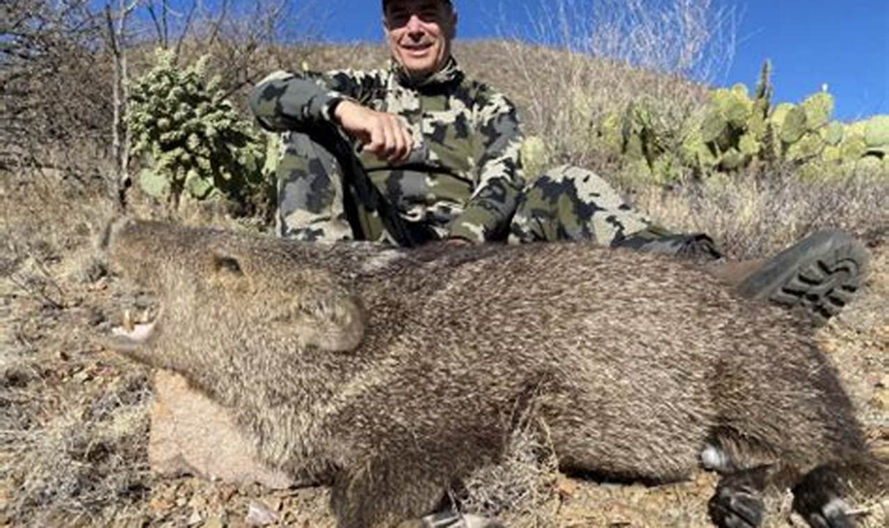 Arizona Javelina Hunting Season 2024