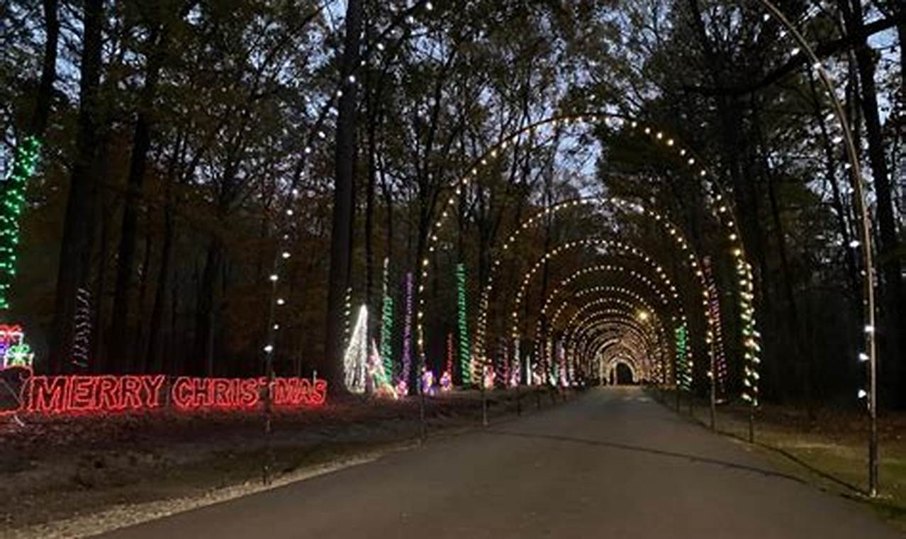 Arnette Park Christmas Lights 2024