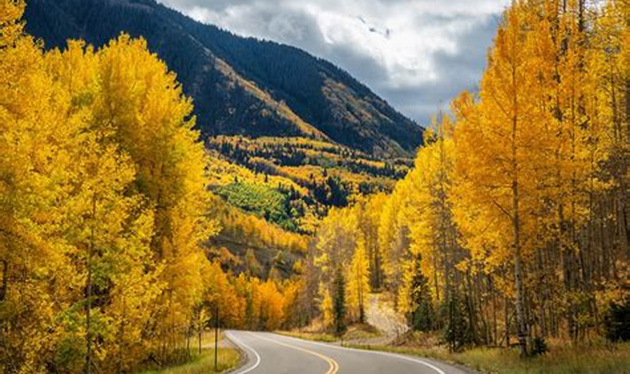 Aspen Colorado Fall Colors 2024