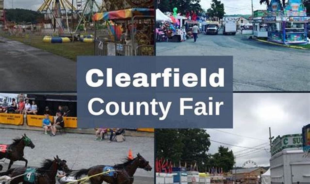 Athens County Fair 2024 Schedule