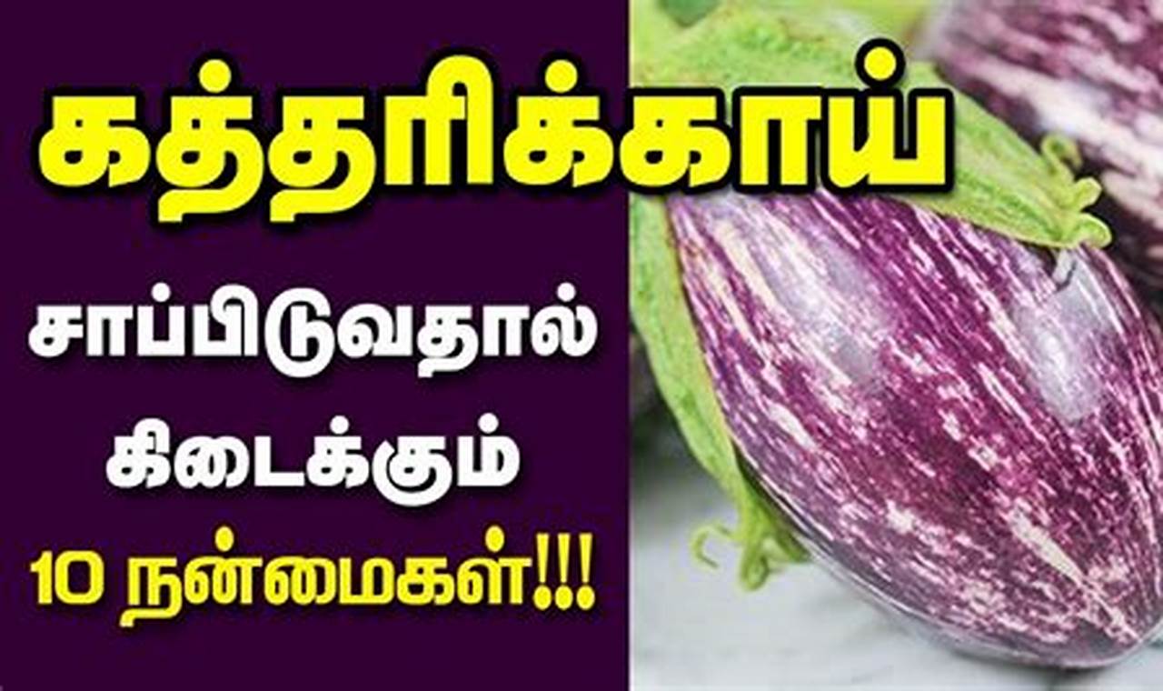 Aubergine Meaning In Tamil