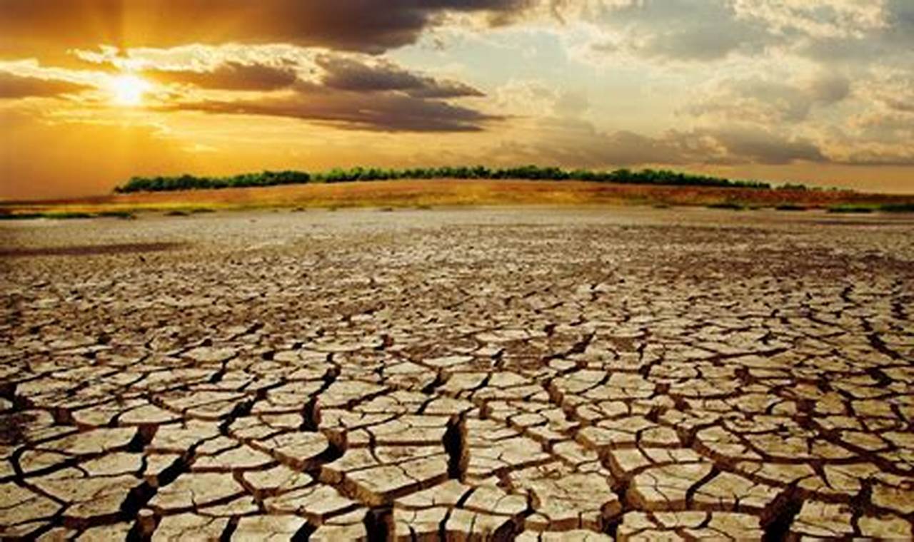 Australian Drought 2024