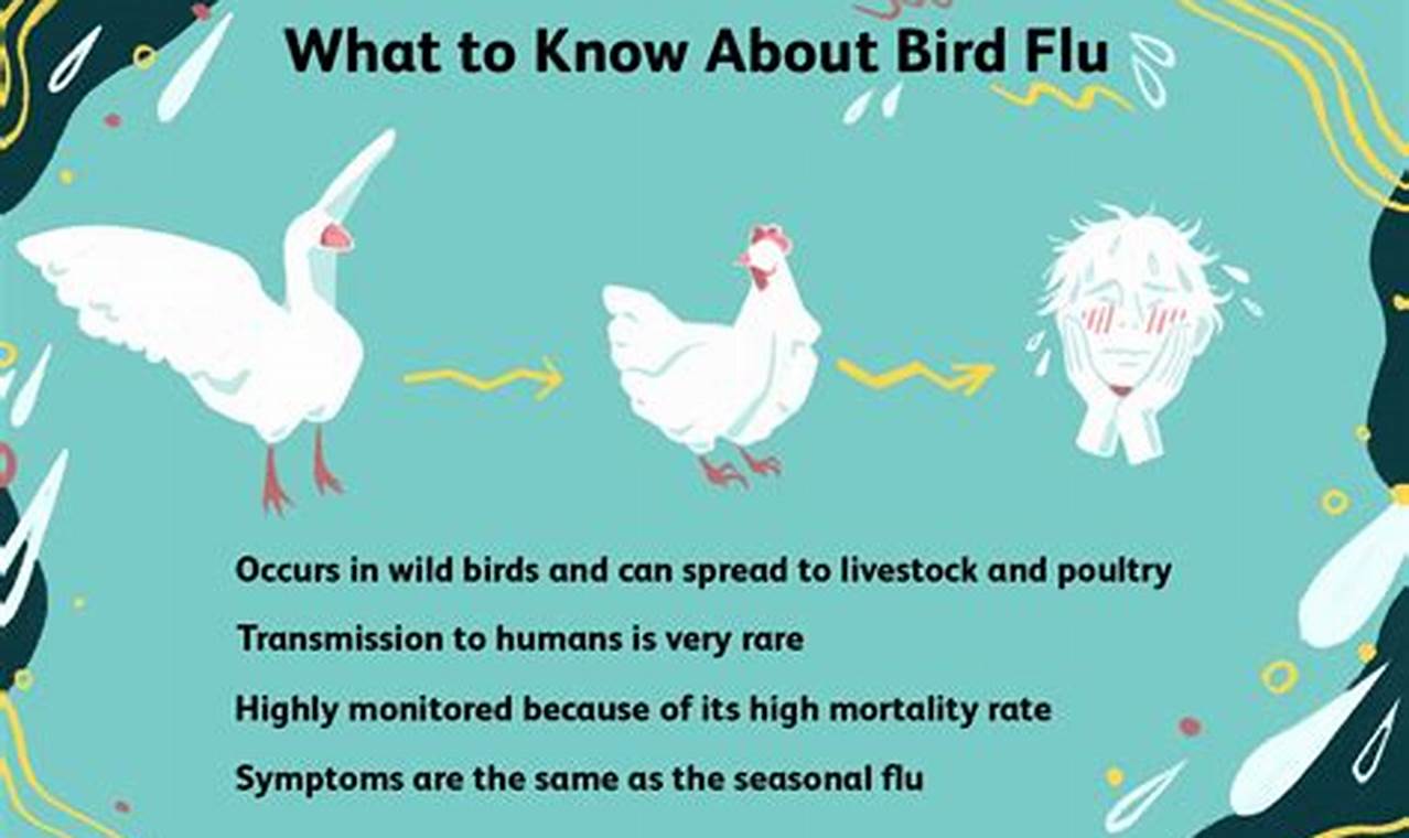 Avian Flu 2024 Symptoms
