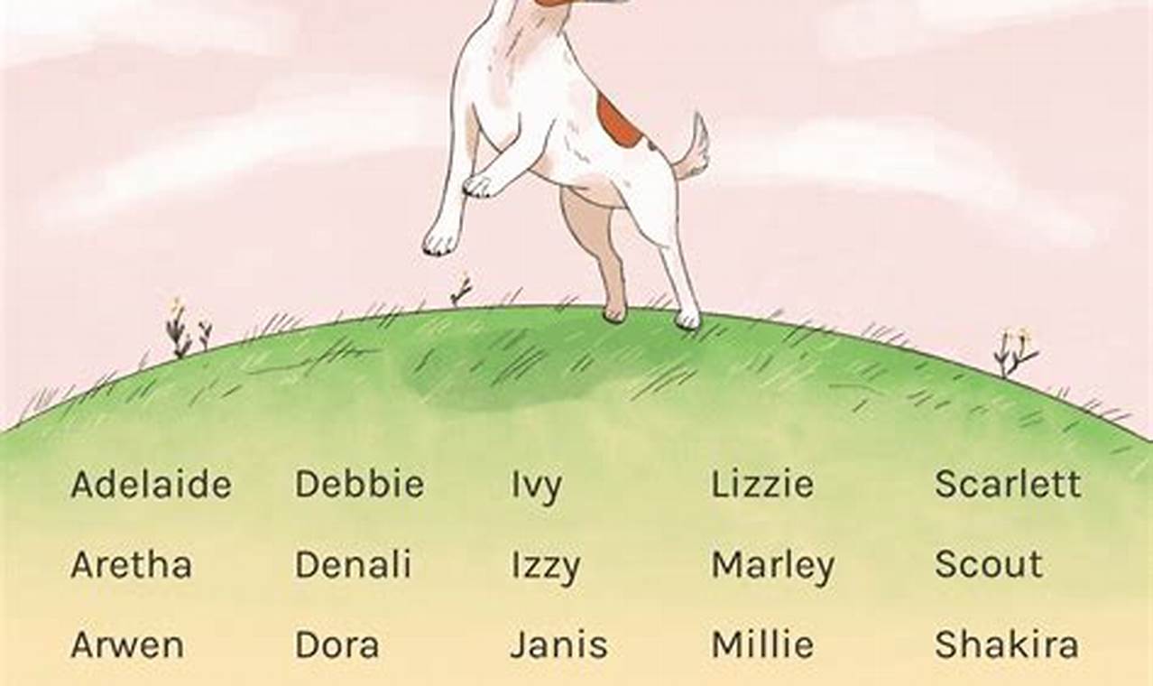 Baby Girl Dog Names 2024