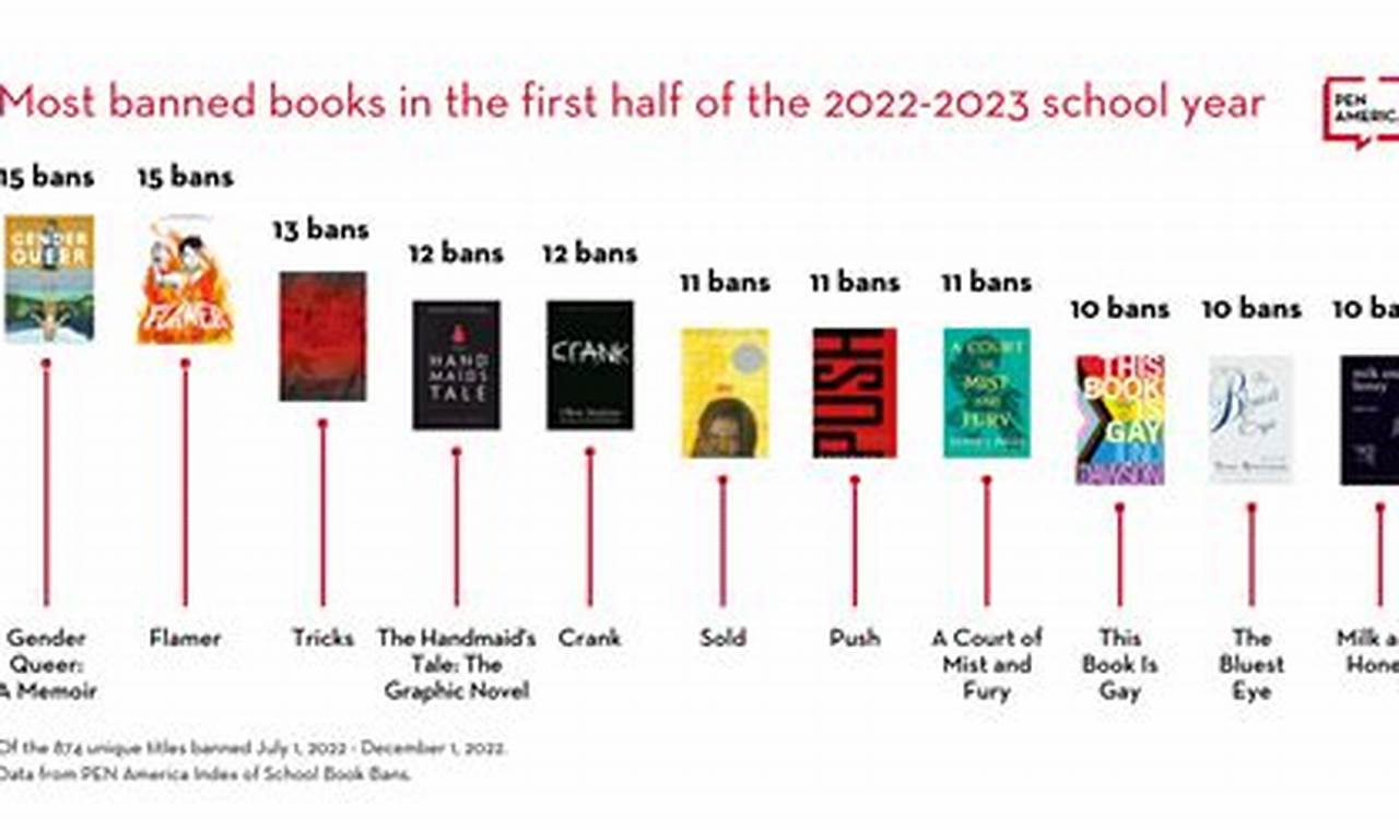 Banned Books In Texas 2024 List