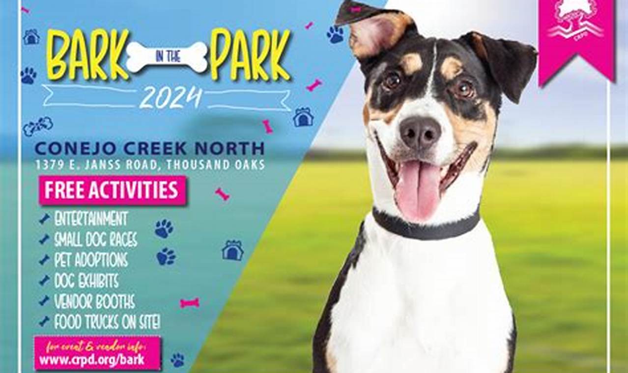 Bark In The Park 2024 Tampa